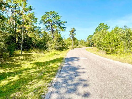 0 Guava Pass, OCKLAWAHA, FL, 32179 | Card Image