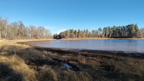 28515 Fools Lake Dr, Park Rapids, MN, 56470-1003 | Card Image