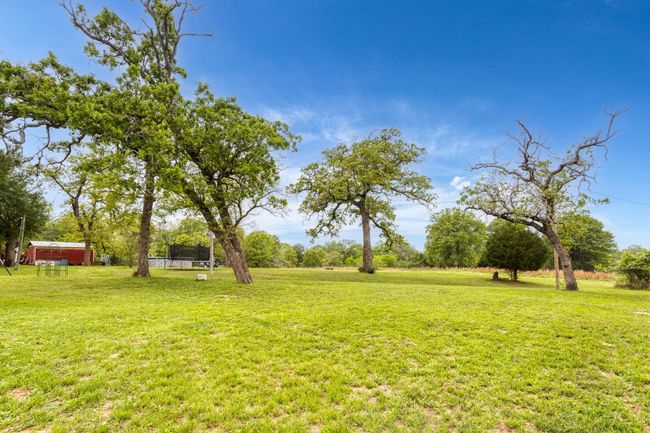 5 acres of land and great space & yard | Image 6
