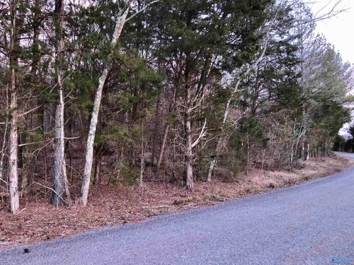 1 Bettinger Mountain Rd, Union Grove, AL, 35175 | Card Image