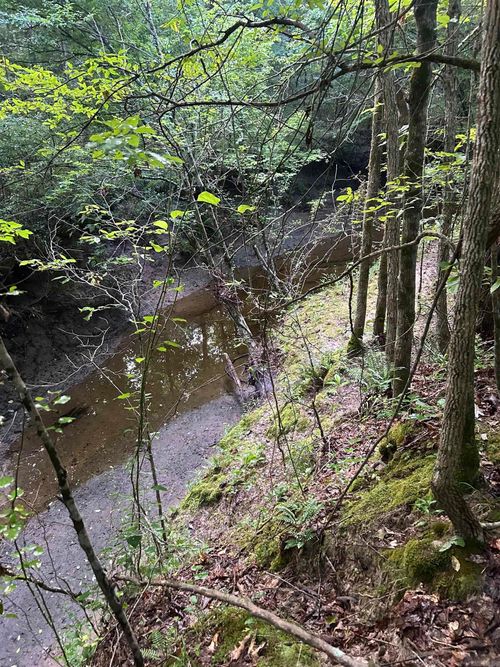 TBD Hempstead 14, Washington, AR, 71862 | Card Image