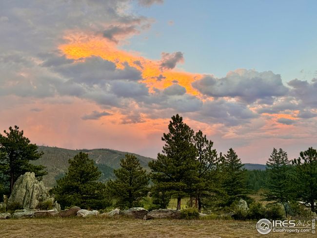 9200 Old Flowers Rd, House other with 4 bedrooms, 6 bathrooms and null parking in Bellvue CO | Image 34