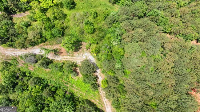 TRACT 1 Brookhaven Cir, Home with 0 bedrooms, 0 bathrooms and null parking in Toccoa GA | Image 8