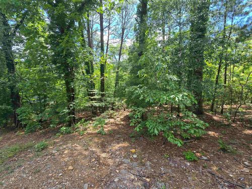 TBD Doubloon Cir, Hot Springs National Park, AR, 71913 | Card Image