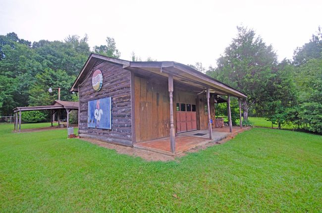 Photo 11 | Image 6