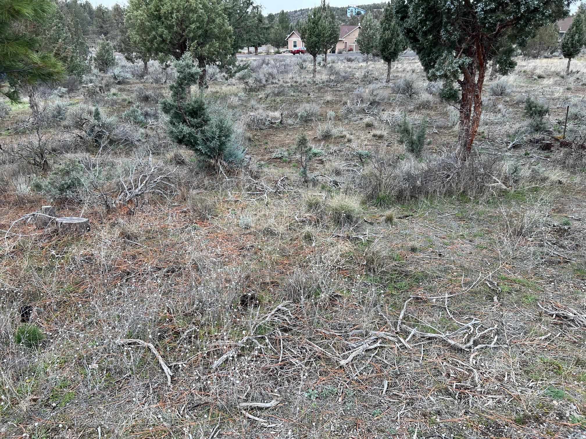 Land in Weed 3
