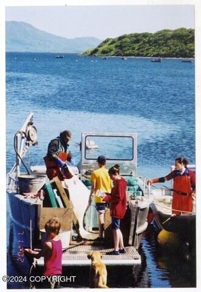 NHN Moser Bay Snug Harbor | Image 29