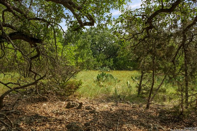 1030 Jurassic Ln, Home with 0 bedrooms, 0 bathrooms and null parking in Spring Branch TX | Image 7