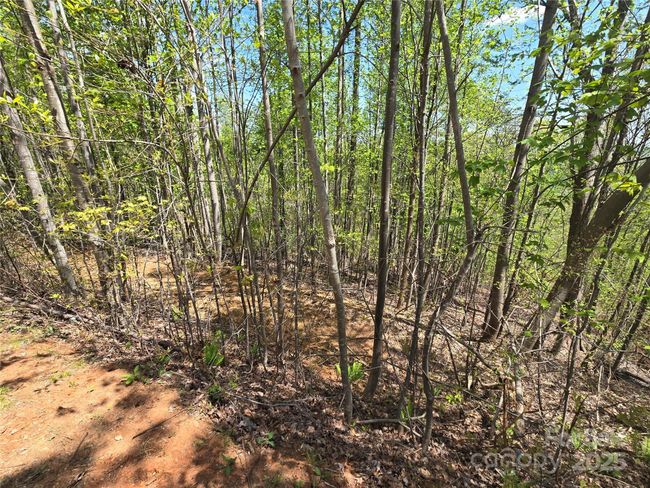 Lot 24 High Rock Rdg, Home with 0 bedrooms, 0 bathrooms and null parking in Lake Lure NC | Image 11