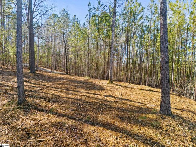 0 Long Cove Trl, Home with 0 bedrooms, 0 bathrooms and null parking in Salem SC | Image 4