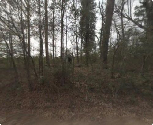 346 E Slumberlane Dr, Livingston, TX, 77351 | Card Image