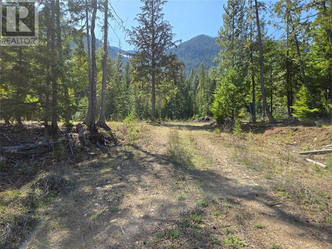 3809 Passmore Upper Rd, Home with 0 bedrooms, 0 bathrooms and null parking in Passmore BC | Image 6