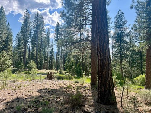 950 Miners Psge, Clio, CA, 96106 | Card Image