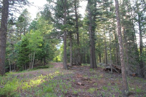 178 Simmons Rd, Rye, CO, 81069 | Card Image