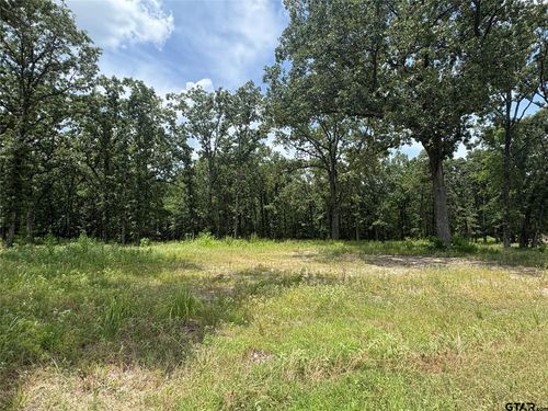 Lot 22 Private Road 5948, Yantis, TX, 75497 | Card Image