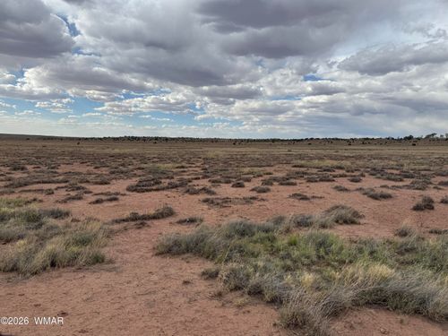 36536 TBD Us-180, St. Johns, AZ, 85936 | Card Image