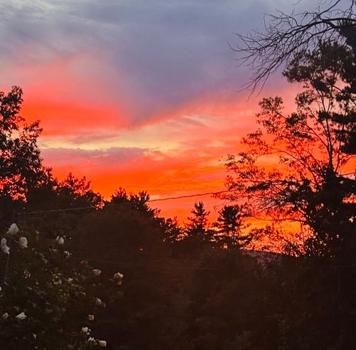 92 White Loaf Rd, Southampton, MA, 01073-9590 | Card Image