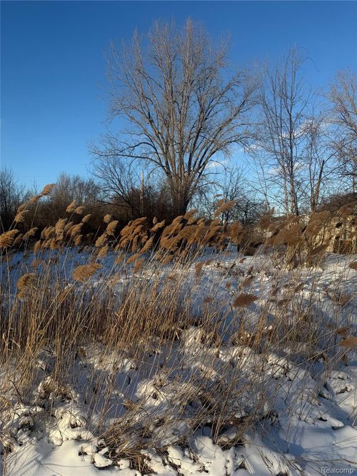 41 Charles, Clinton Charter Township, MI, 48035 | Card Image