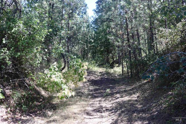 View of woods | Image 40