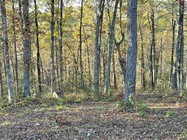 8997 Highway 9, House other with 2 bedrooms, 2 bathrooms and null parking in Mountain View AR | Image 41
