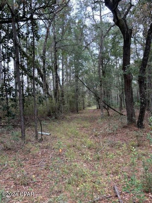 0000 Everest Dr, Chipley, FL, 32428 | Card Image