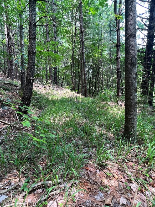 29 - 9589 Shortoff View Ter, Home with 0 bedrooms, 0 bathrooms and null parking in Nebo NC | Image 6