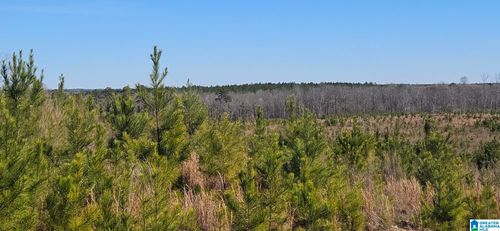 1-0 Highway 139, Randolph, AL, 36792 | Card Image