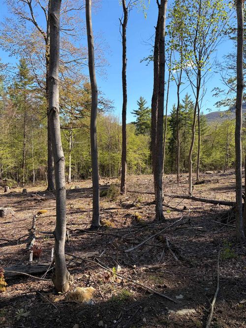 lot A Frost Pond Rd, Dorset, VT, 05251 | Card Image
