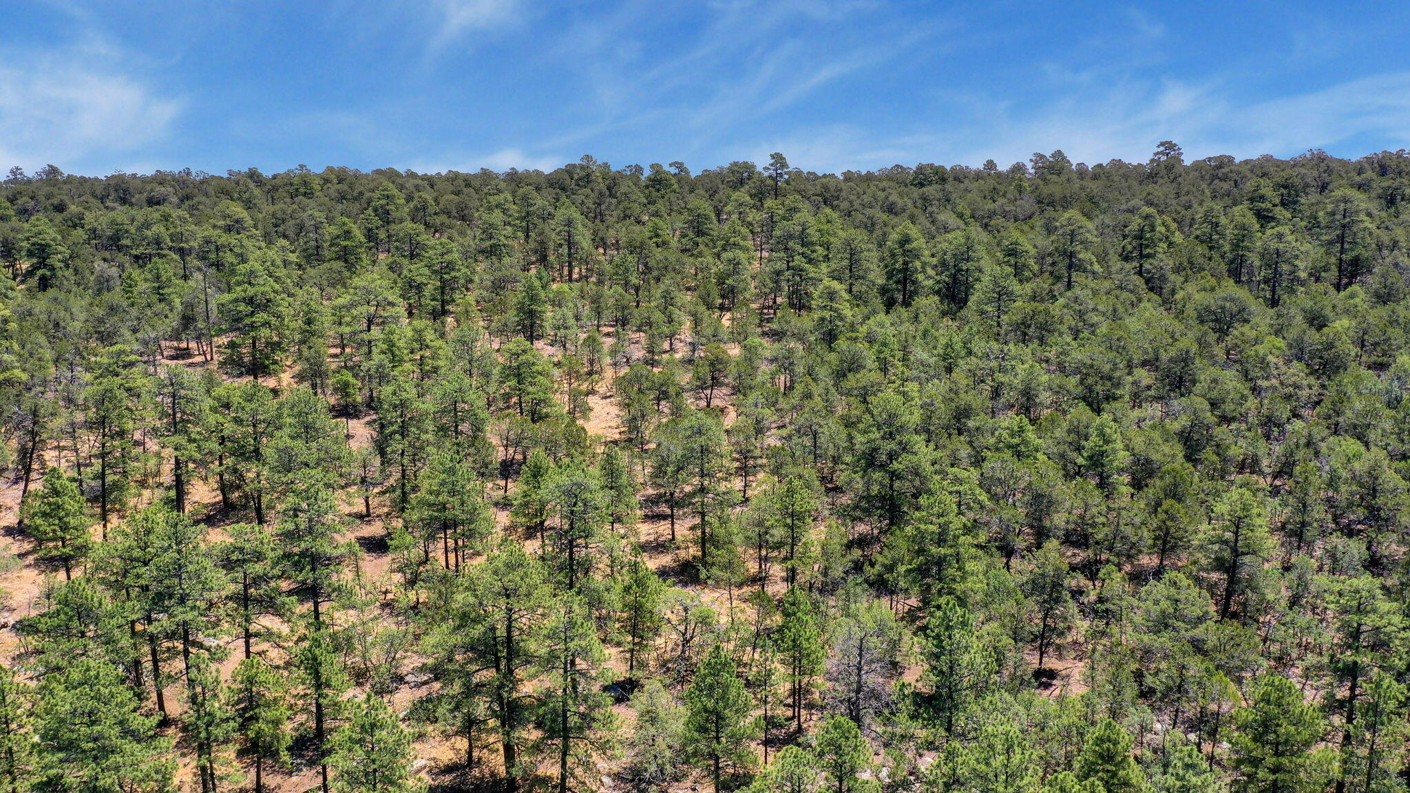 Residential in Tijeras 2