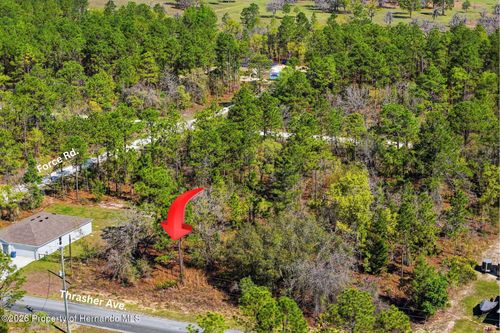 Lot 25 Thrasher Ave, BROOKSVILLE, FL, 34614 | Card Image