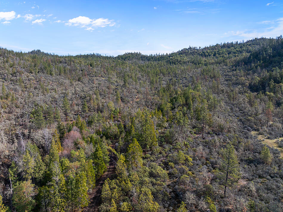Land in Shady Cove