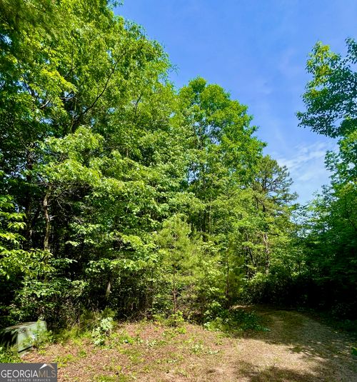 0 Bluff Mtn, Dillard, GA, 30537 | Card Image