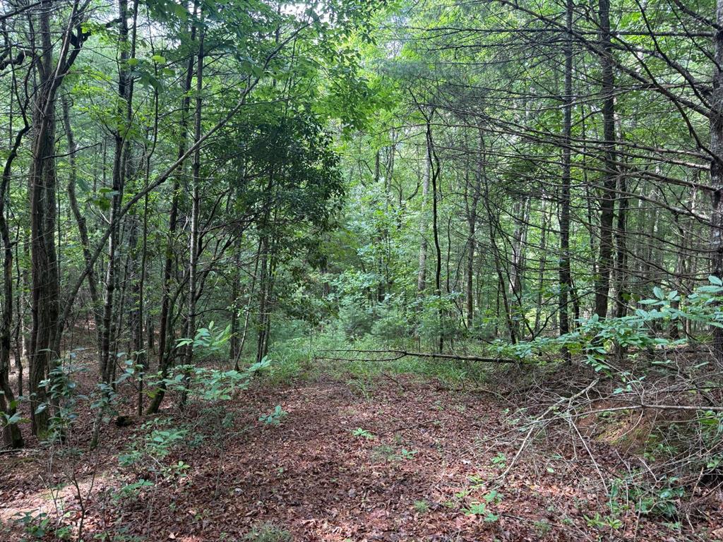 Land in Franklin
