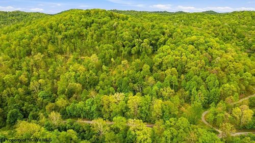 TBD Rock Camp Rd, Wallace, WV, 26448 | Card Image