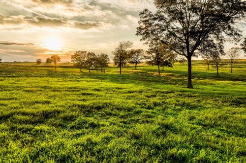 TBD Sunny Hills Lot 1 Drive, Chappell Hill, TX, 77426 | Card Image