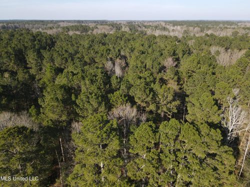 7729 Hill Ln, Summit, MS, 39666-5646 | Card Image