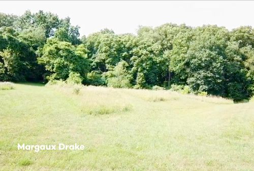 lot-2-25295 Belding Rd Ne, Rockford, MI, 49341-8172 | Card Image