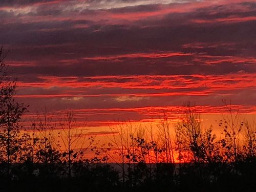 {{alt}} | Card Image