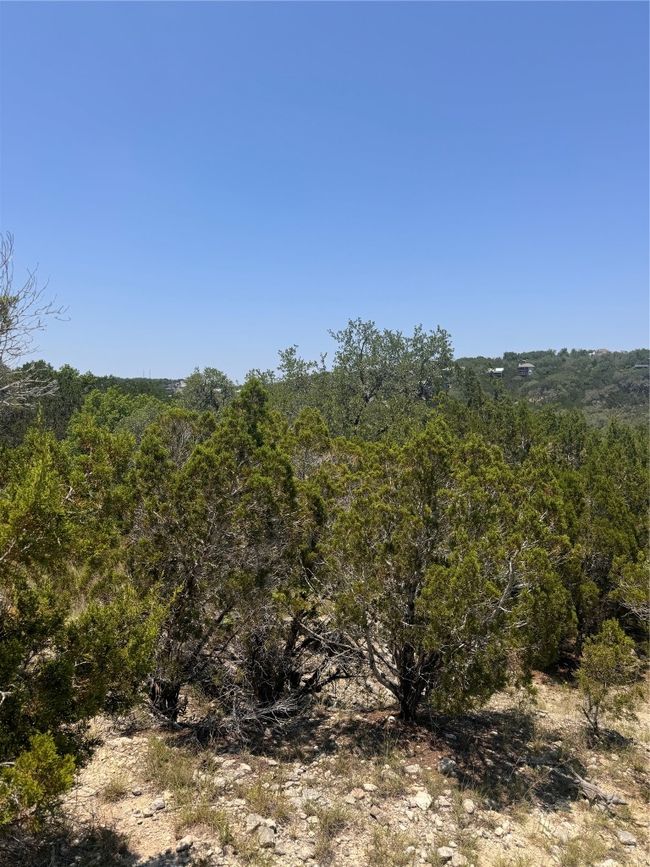 2506 Geronimo Trl, Home with 0 bedrooms, 0 bathrooms and null parking in Austin TX | Image 12