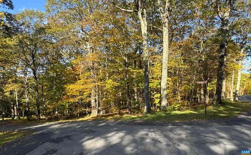 TBD Winter Wren Ln, ROSELAND, VA, 22967 | Card Image