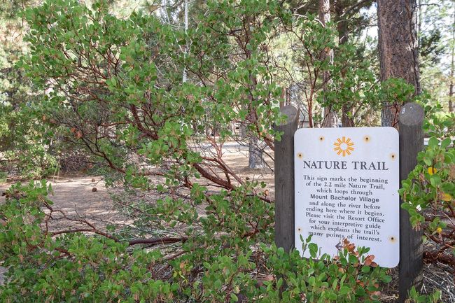 trail | Image 28