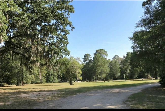 0 Hackberry Dr, Home with 0 bedrooms, 0 bathrooms and null parking in Onalaska TX | Image 8