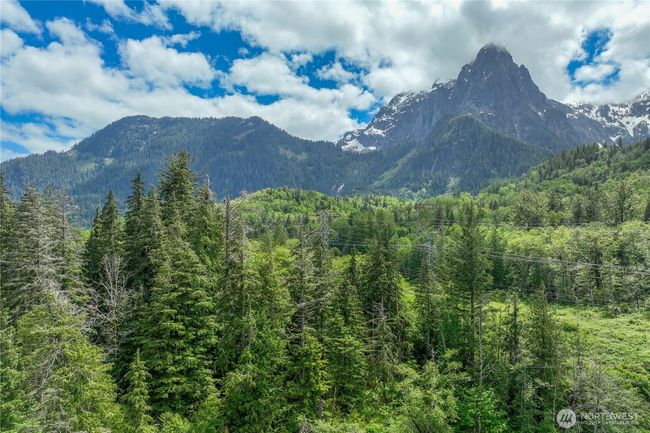 Come home to river, forest and mountain views! | Image 21