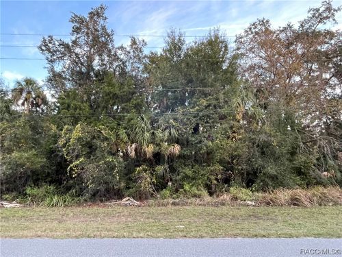 11631 W Timberlane Drive, Homosassa, FL, 34448 | Card Image