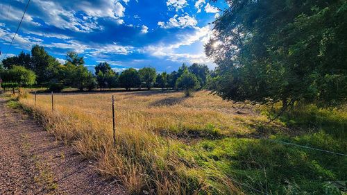 1450 Locust Locust Dr, Canon City, CO, 81212-4572 | Card Image