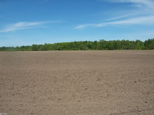 Lot 6 Lapeer Rd Road, Kimball Township, MI, 48074 | Card Image