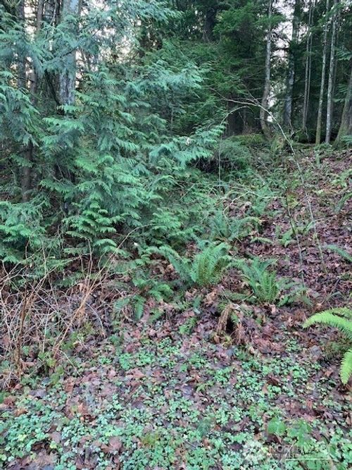 283 Se 146th St, Issaquah, WA, 98027 | Card Image