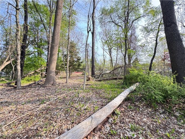 13430 Schreiber Rd, House other with 3 bedrooms, 3 bathrooms and null parking in Valley View OH | Image 38