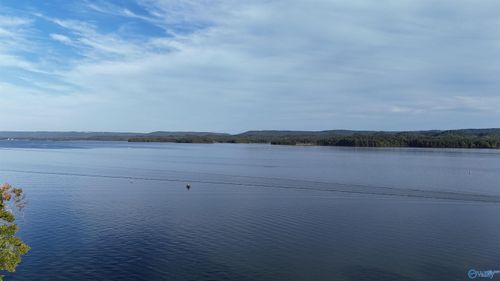 38 Pine Island Point, Scottsboro, AL, 35968 | Card Image