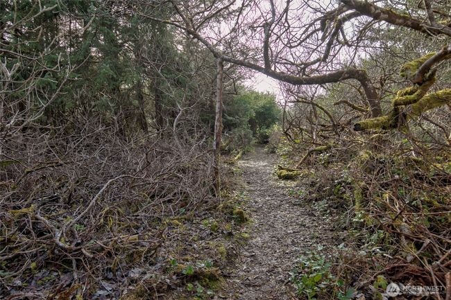 Beach trail, cont. | Image 38